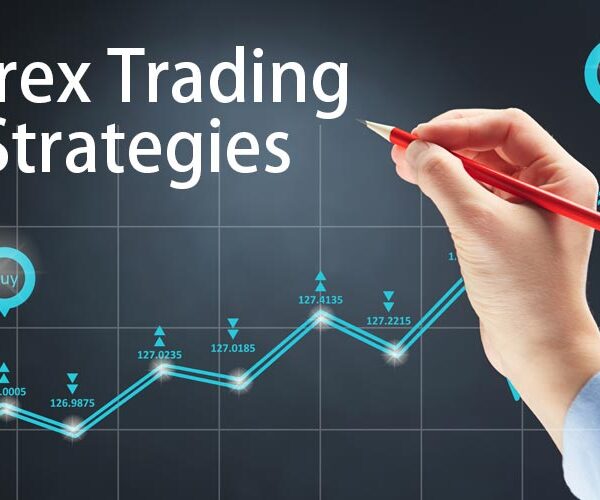 forex-courses